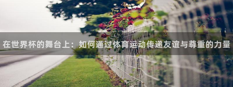 2026世界杯亚洲预选赛：在世界杯的舞台上：如何通过体育运动传递友谊与尊重的力量