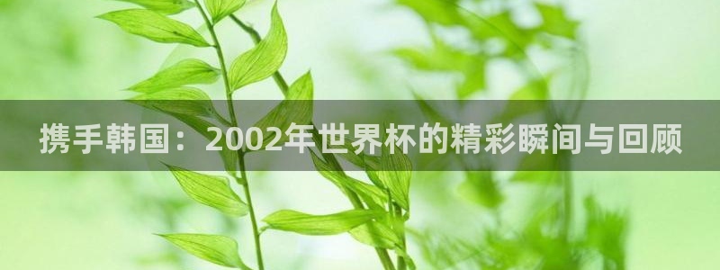 世界杯赛程2026：携手韩国：2002年世界杯的精彩瞬间与回顾