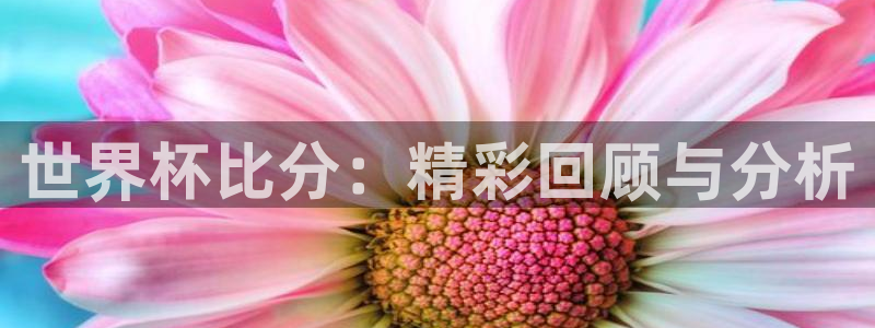 足球比分直播世界杯：世界杯比分：精彩回顾与分析