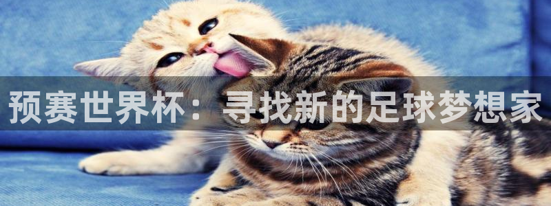 世界杯预选赛欧洲赛区赛程：预赛世界杯：寻找新的足球梦想家