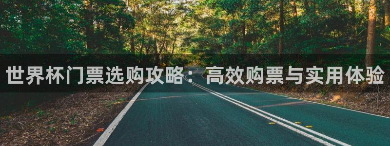 世界杯预选赛赛程：世界杯门票选购攻略：高效购票与实用体验