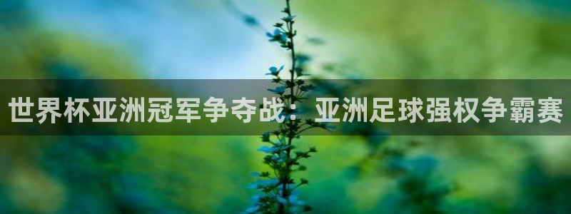 欧洲世界杯预选赛：世界杯亚洲冠军争夺战：亚洲足球强权争霸赛