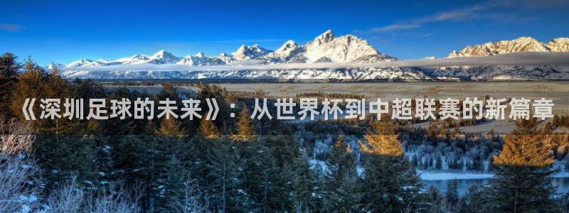 2026世界杯小组赛赛程时间表：《深圳足球的未来》：从世界杯到中超联赛的新篇章