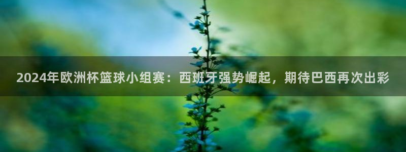 2026足球世界杯赛程时间表：2024年欧洲杯篮球小组赛：西班牙强势崛起，期待巴西再次出彩