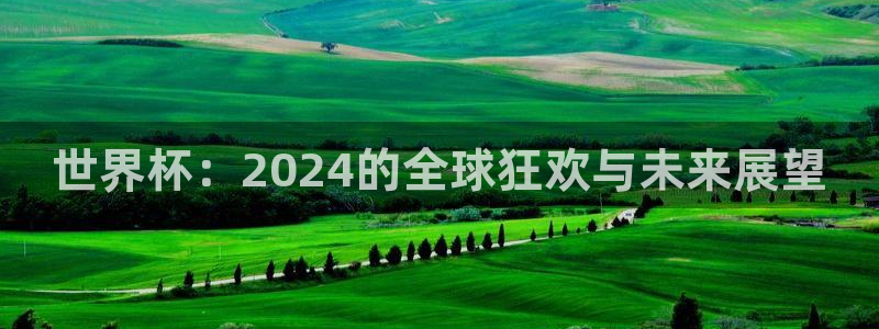 2026世界杯欧洲预选赛赛程表：世界杯：2024的全球狂欢与未来展望