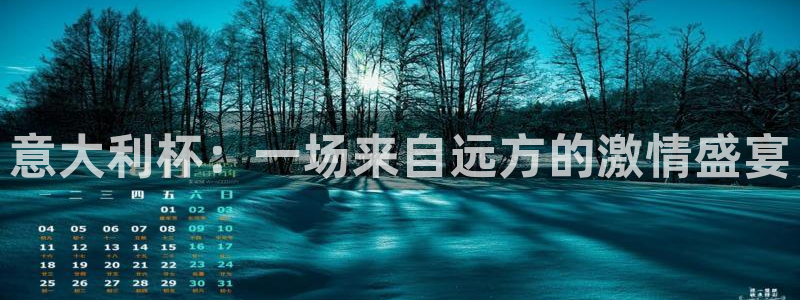世界杯决赛圈球队：意大利杯：一场来自远方的激情盛宴