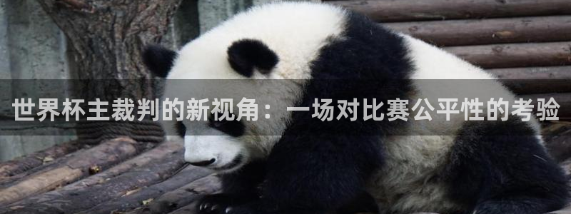 2026世界杯赛:世界杯主裁判的新视角:一场对比赛公平性的考验