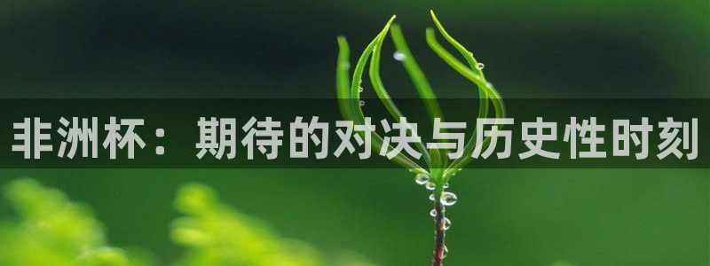世界杯球队：非洲杯：期待的对决与历史性时刻