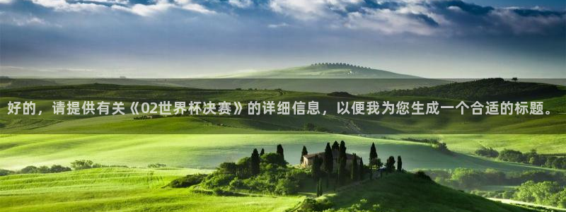 世界杯足球直播：好的，请提供有关《02世界杯决赛》的详细信息，以便我为您生成一个合适的标题。