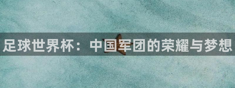 2026世界杯直播免费观看：足球世界杯：中国军团的荣耀与梦想