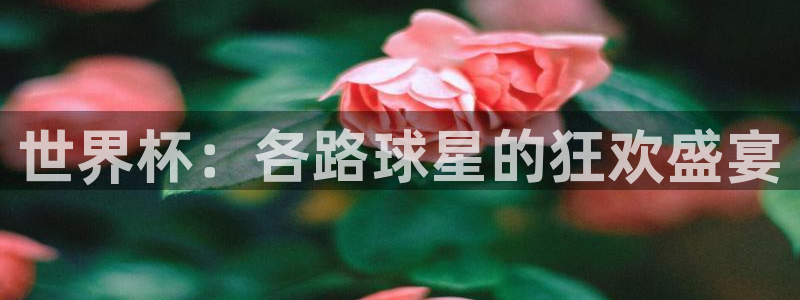 2026世界杯对阵图：世界杯：各路球星的狂欢盛宴