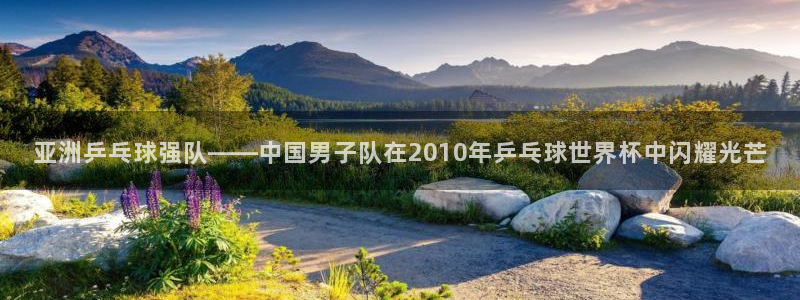 2026世界杯亚洲预选赛：亚洲乒乓球强队——中国男子队在2010年乒乓球世界杯中闪耀光芒