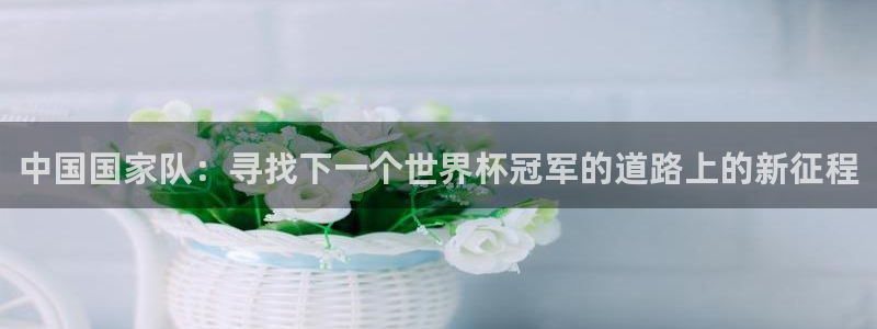 世界杯直播在线观看入口：中国国家队：寻找下一个世界杯冠军的道路上的新征程